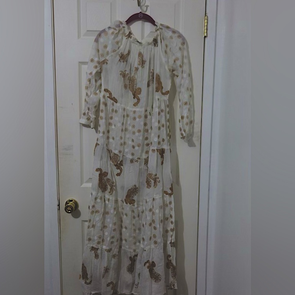 Sheer white and gold dress. Floor length. Best as an overlay.